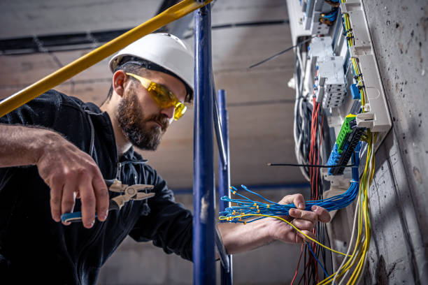 Best Electrical Upgrades for Homes  in Shelby, MI