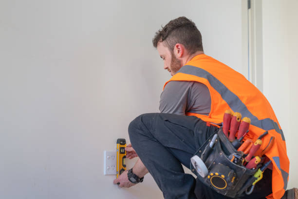 Best Electrical System Inspection  in Shelby, MI